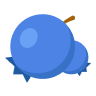 Blueberries raw