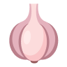 Garlic raw